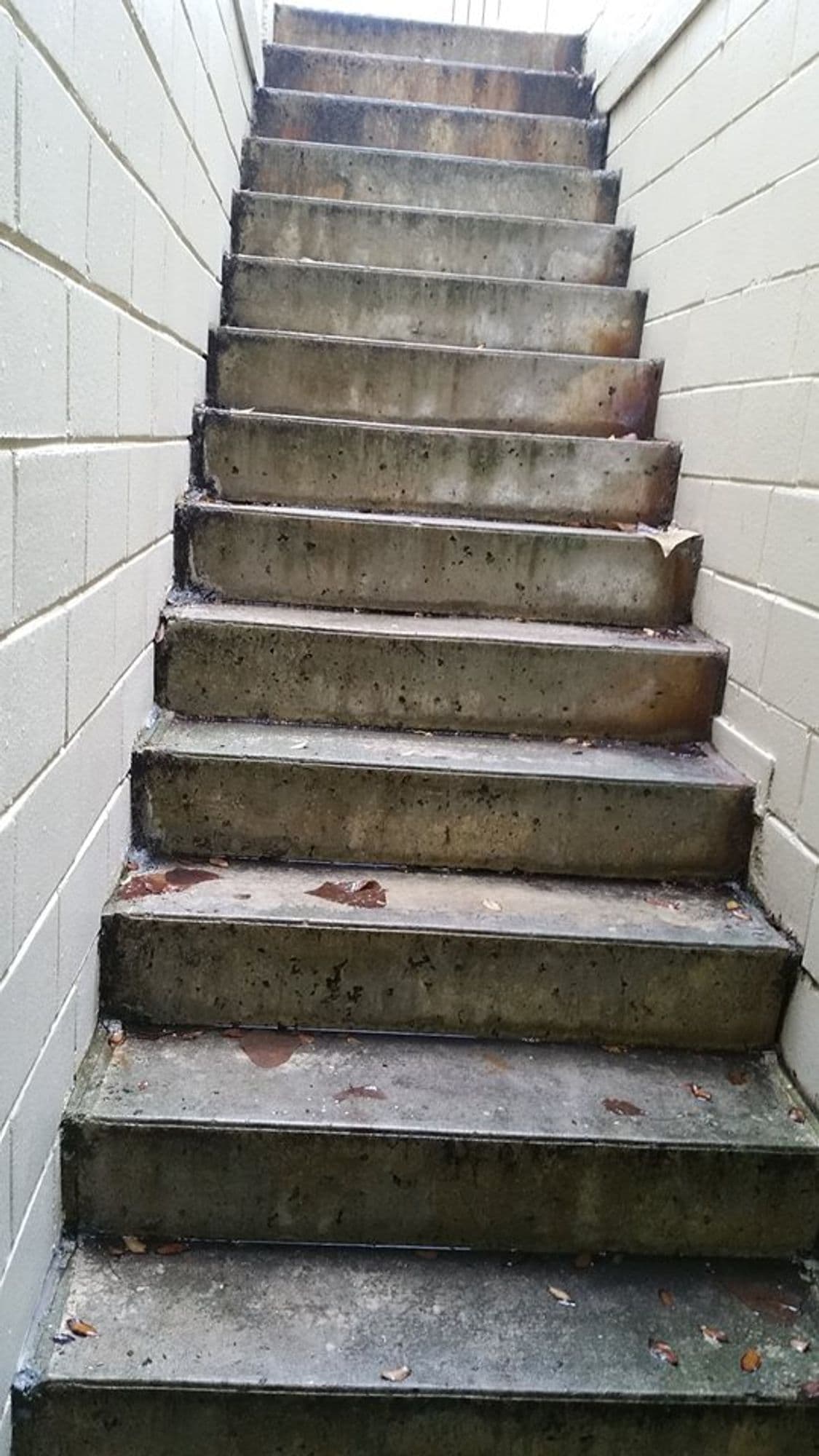building repairs/14